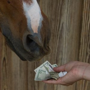 Horse-money-300x300.jpg