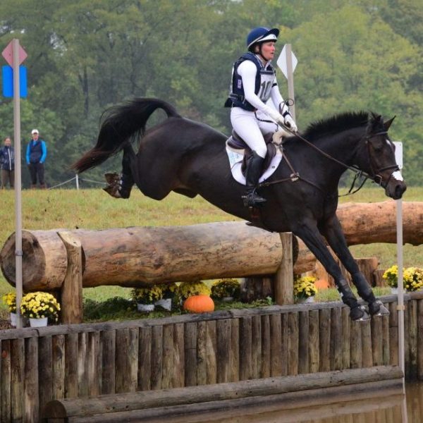 Eventing Explained Do Event Horses Enjoy Cross Country? Heels Down Mag