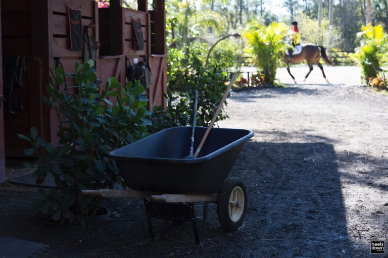 Everybody Should Have To Muck Stalls Every Once In A While Heels Down Mag