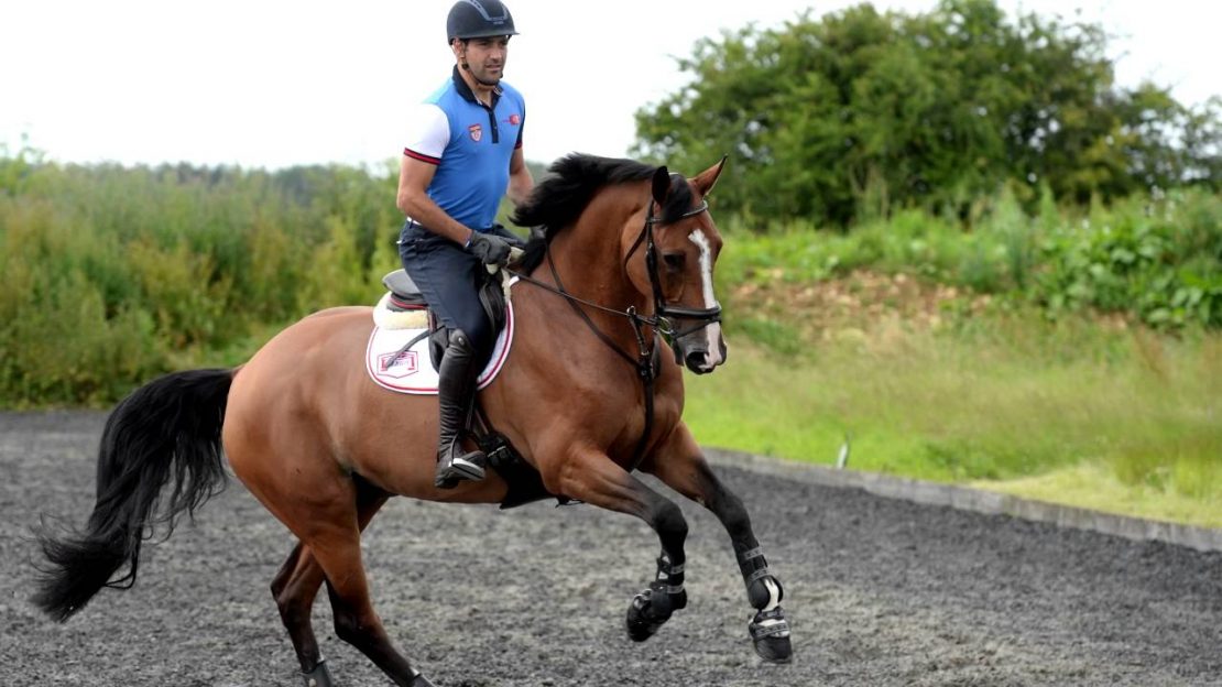 How To Train A Flying Lead Change In 6 Simple Exercises Heels Down Mag