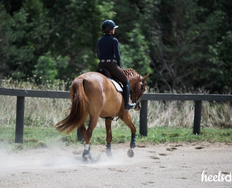 Product Review: Free Ride PRO Equestrian Breech - Heels Down Mag