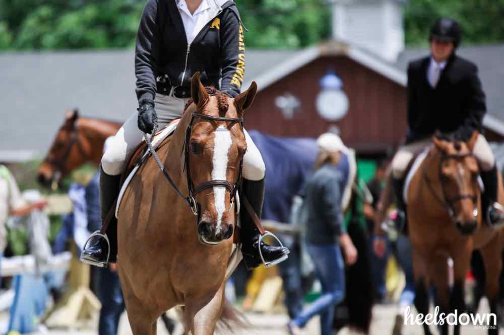 Riders Want Better Bras: Is the Bounce-Effect Keeping Us Out of the Saddle?  - Heels Down Mag