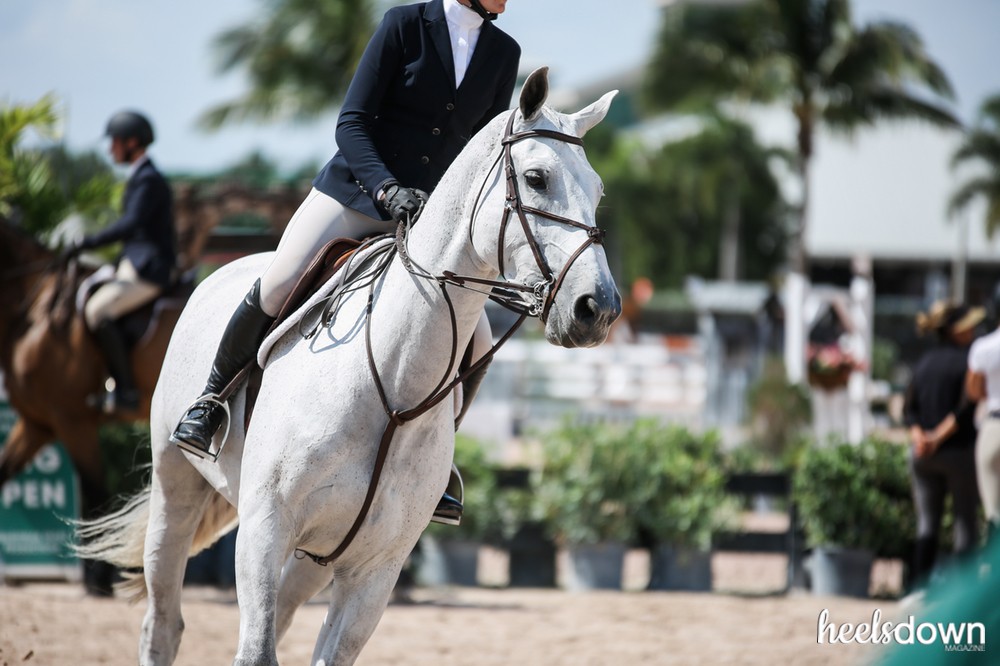 How To Dress Your Horse Equitation Heels Down Mag