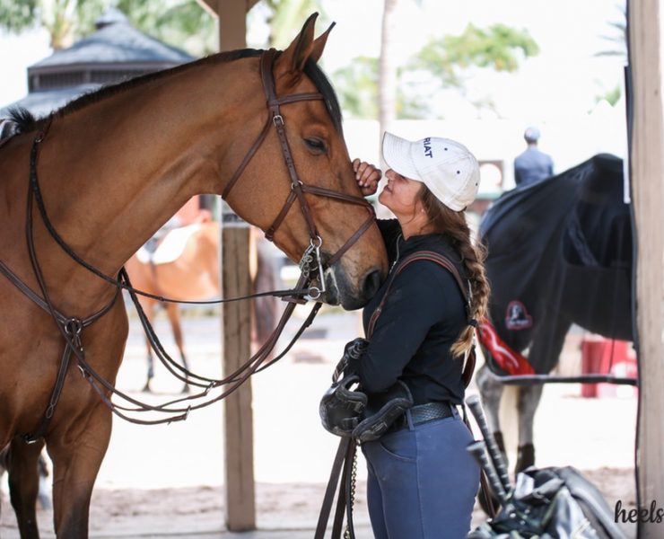 Explained: Why Do Hunters Wear Standing Martingales? - Heels Down Mag