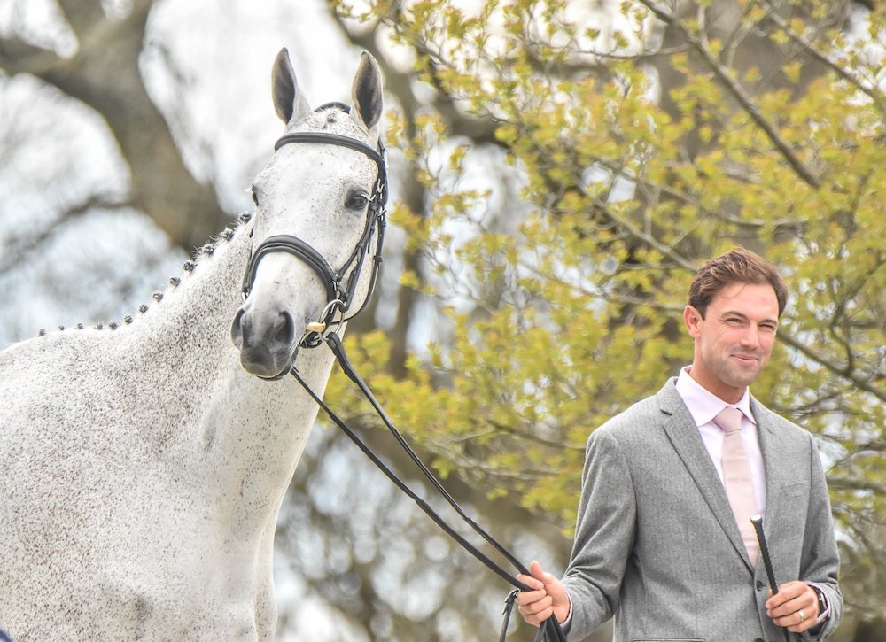 flea bitten grey thoroughbred