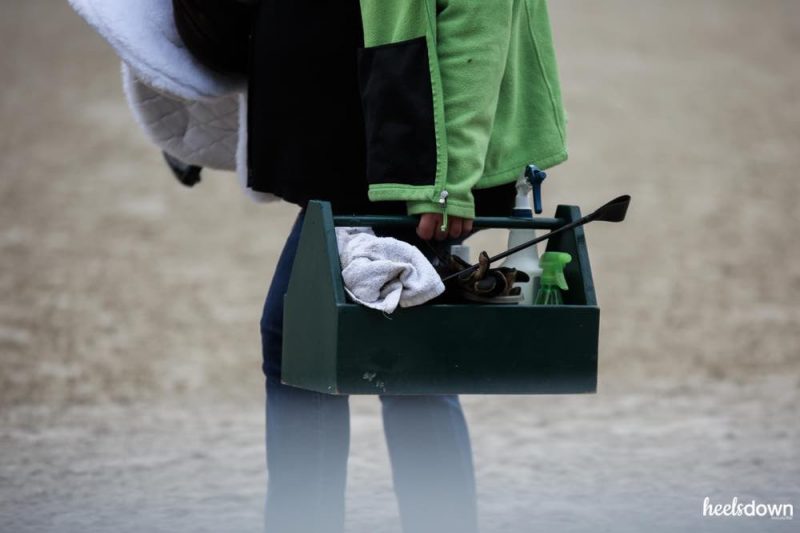 When Your Horse Hates To Be Groomed Heels Down Mag