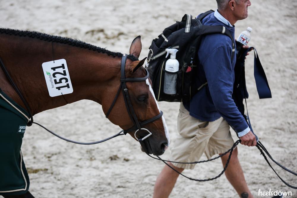 horse show backpack