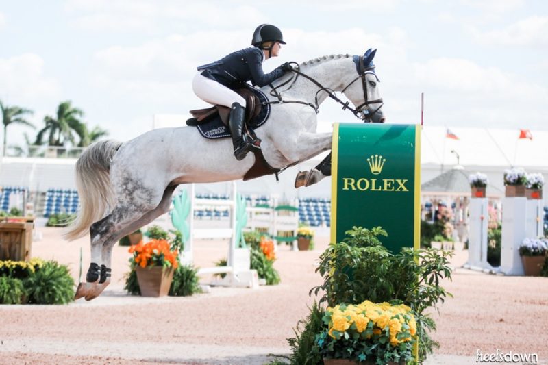 American Globetrotters U.S. Show Jumpers Developing with European