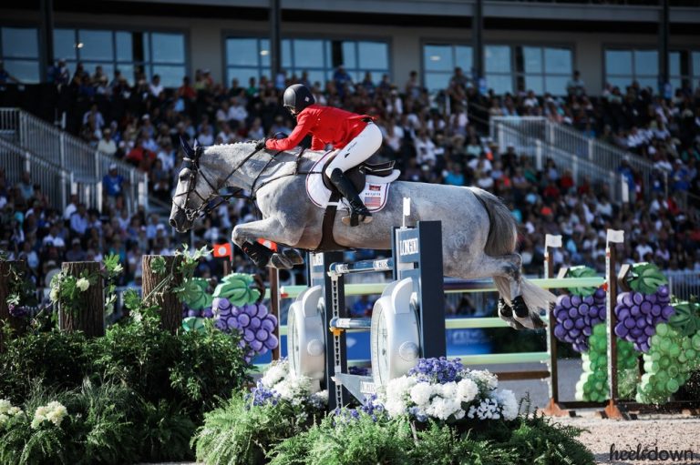 Show Jumping: The Ultimate Strength and Conditioning Guide for Horses