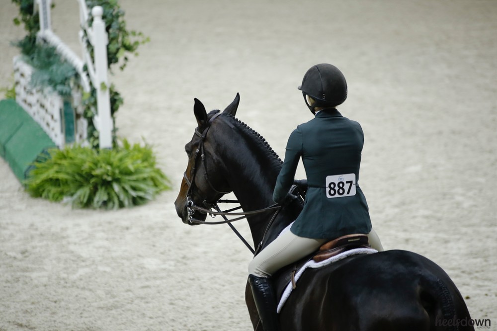 Equitation Scoring Explained Heels Down Mag