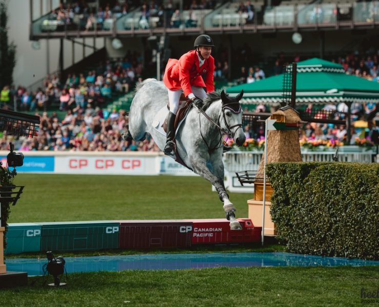 water jump liverpool - spruce meadows show jumping