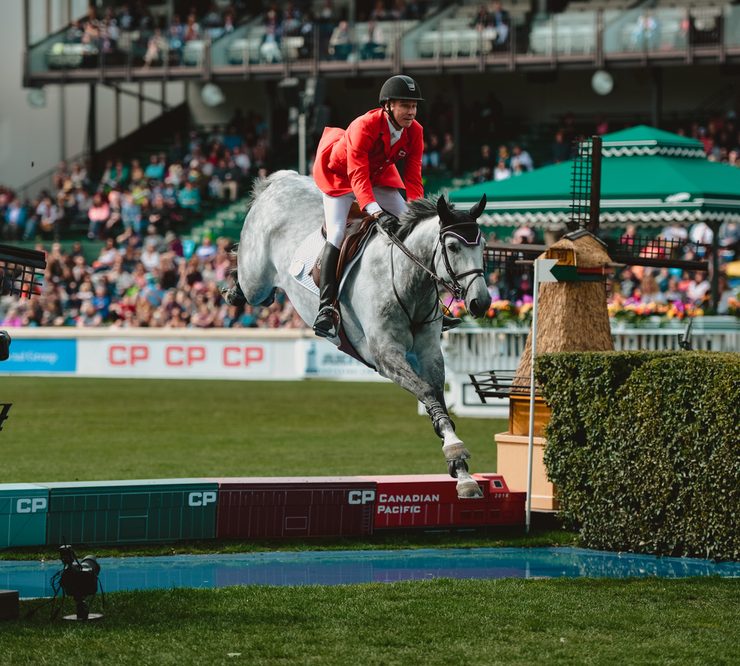 water jump liverpool - spruce meadows show jumping