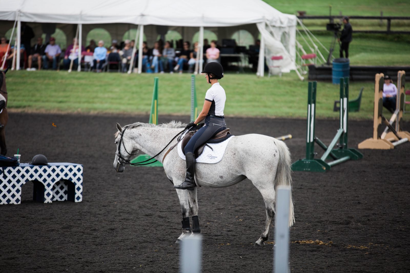 Happy No Stirrup November! Here Are 5 Exercises To Get You Started