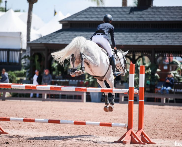 What Are All These Show Jumping Classes? Jumper Tables Explained