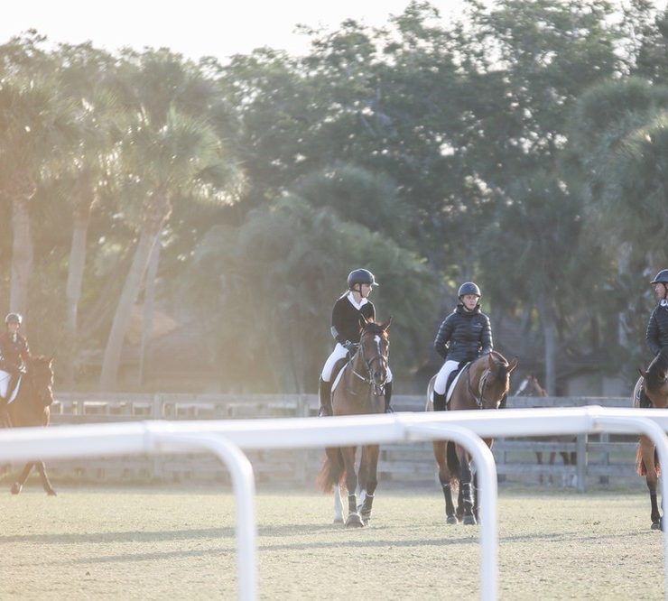 This Equestrian Is Making Whimsical Hairpieces For Horses - Heels Down Mag