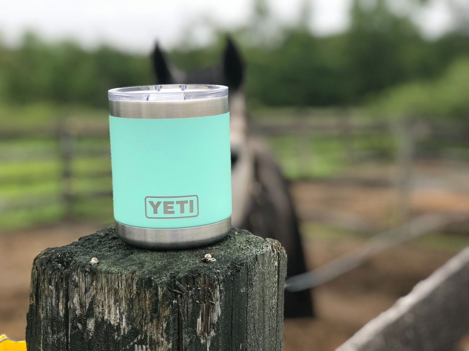 YETI Seafoam Colour Collection