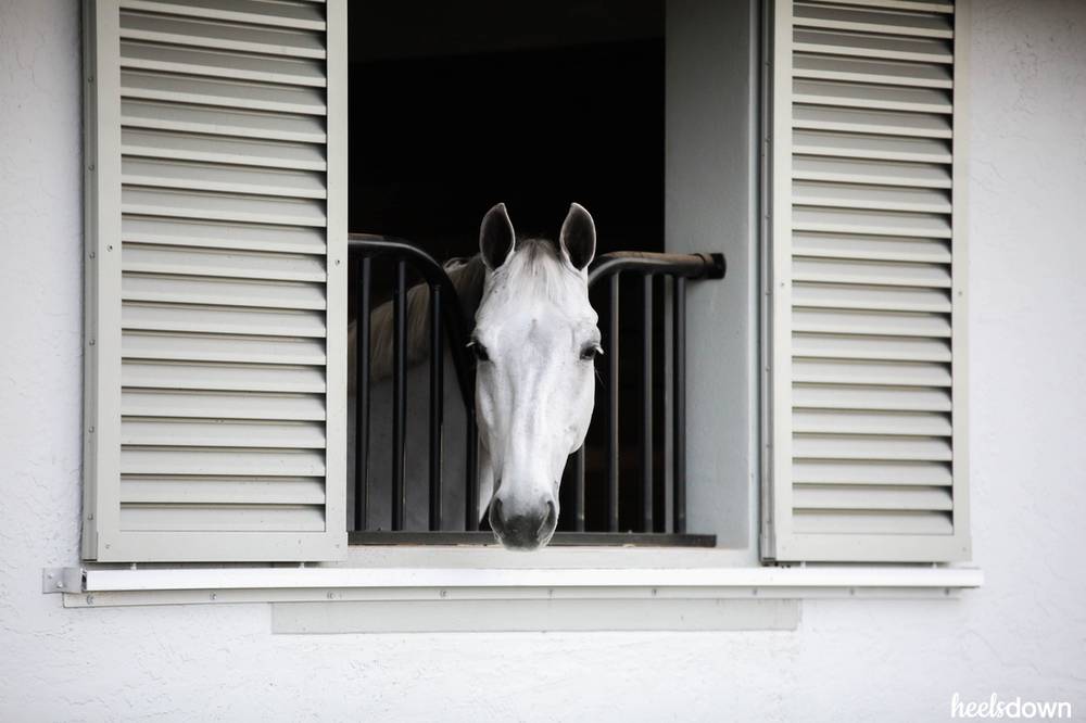 The Unwritten Barn Dress Code - Horse Illustrated