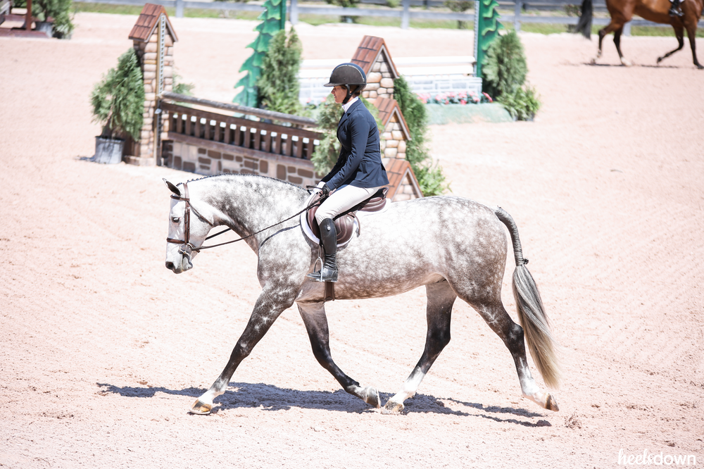 The Dapple Grey Horse: Reasons For Changing, Spotty Coats