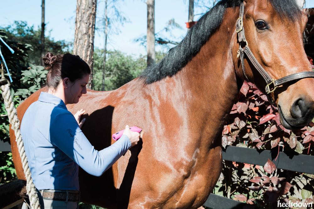 How to Clean and Oil Your Clippers - Pro Equine Grooms