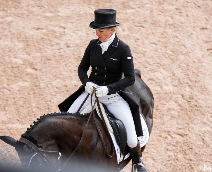 dressage top hats