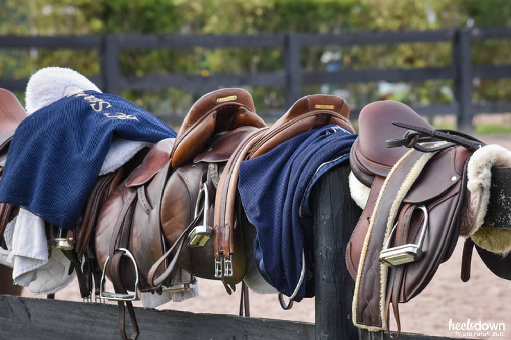 horse tack supplies