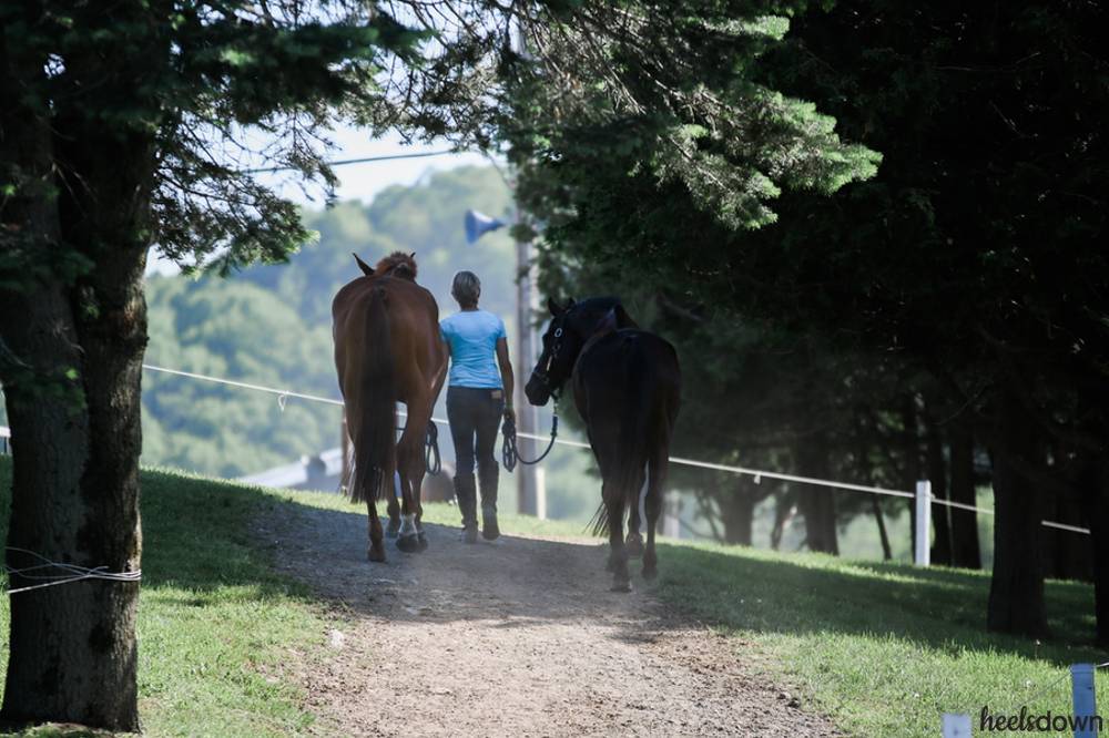 what-does-it-mean-to-be-a-horse-girl-hoofpick-life-equestrian-magazine