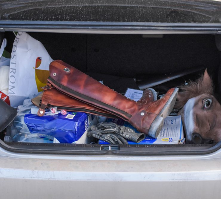 Equestrian messy car