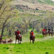 Fox hunting riding horses - photo Deb Moore