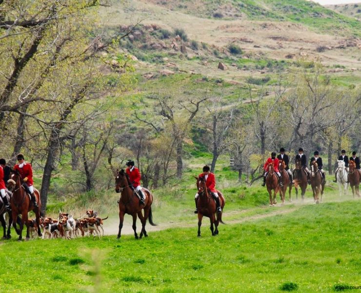 Fox hunting riding horses - photo Deb Moore
