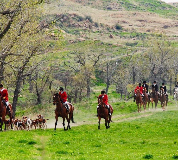 Fox hunting riding horses - photo Deb Moore