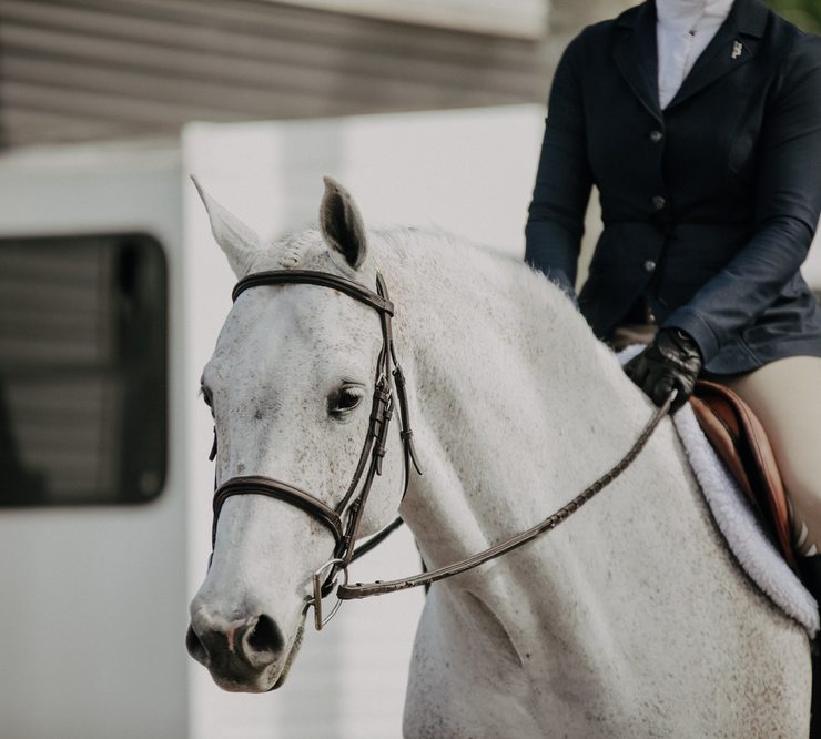 Grey horse hunter rider - equestrian