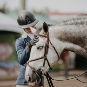 Horse love - horse show
