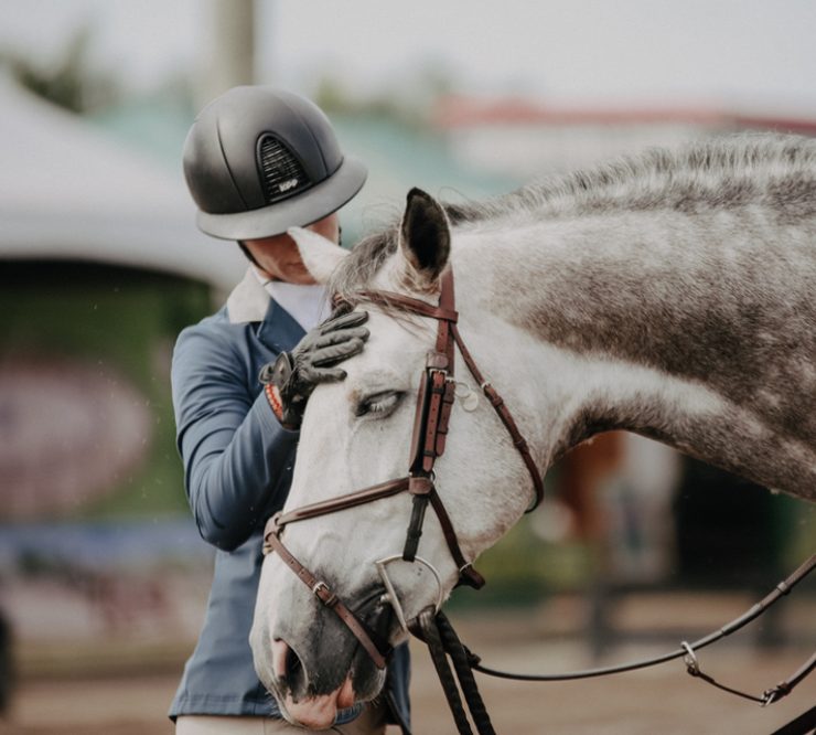 Horse love - horse show