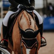 Show jumping - horse - braids - equestrian