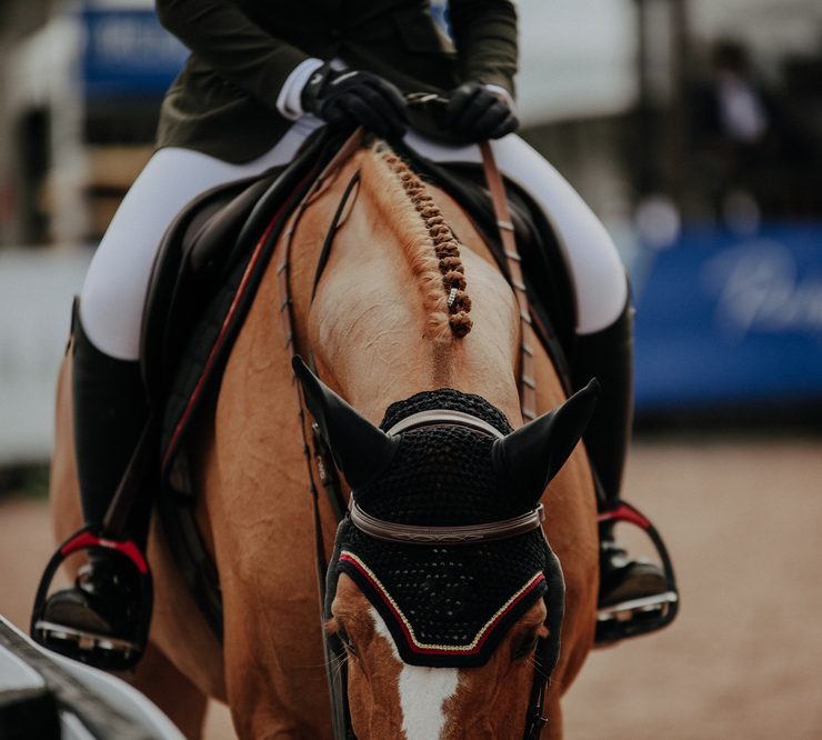 Show jumping - horse - braids - equestrian