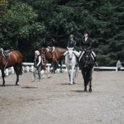 Warm up ring hunter riders