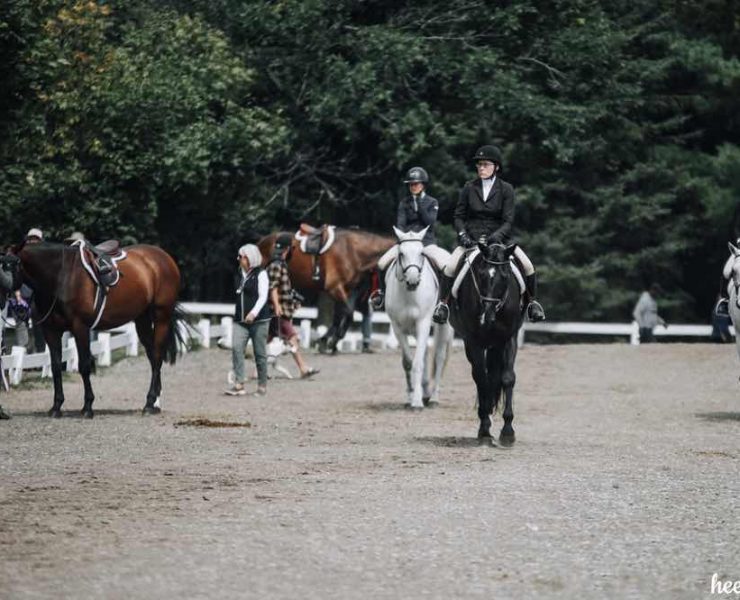 Warm up ring hunter riders