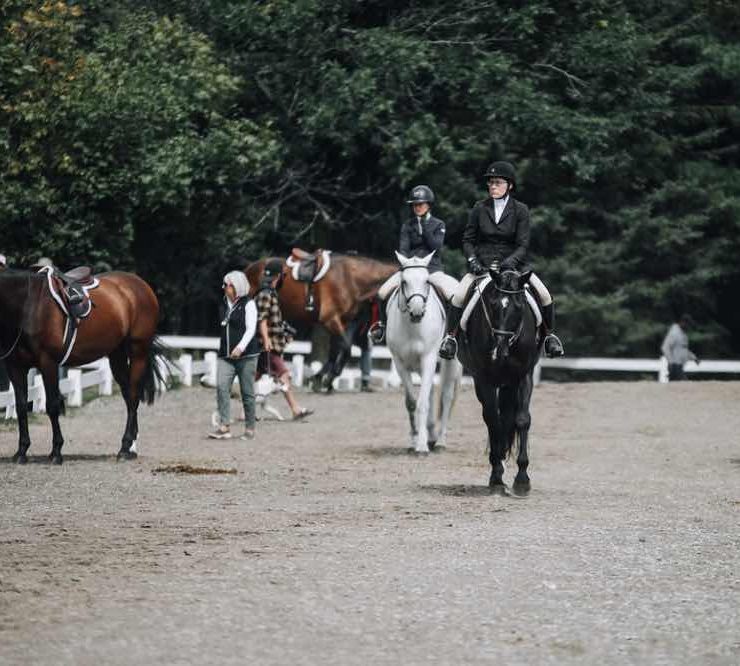 Warm up ring hunter riders