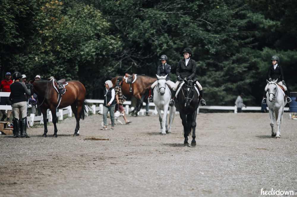 Warm up ring hunter riders