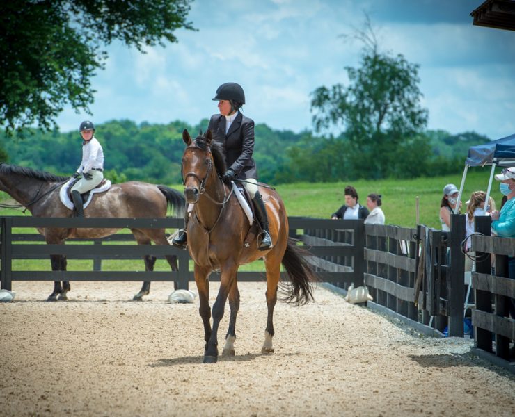 Morven Park Show Series 2020