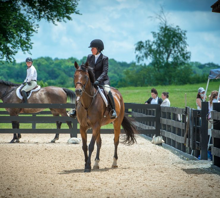 Morven Park Show Series 2020