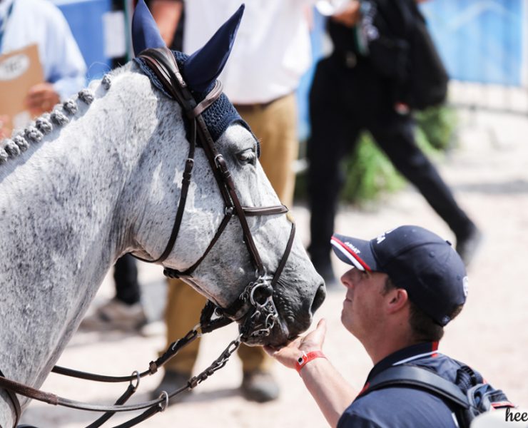 Show jumping horse - equestrian - groom