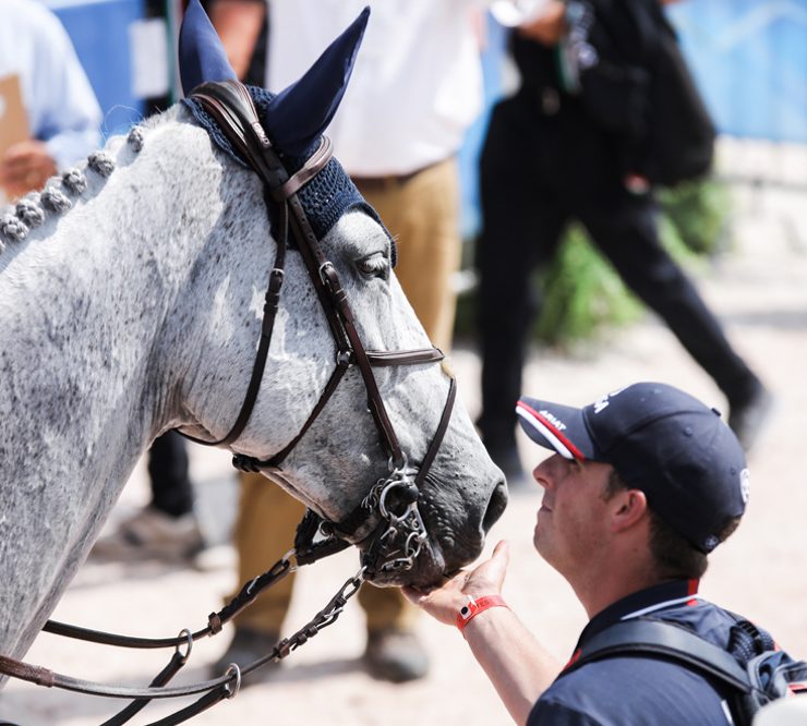 Show jumping horse - equestrian - groom