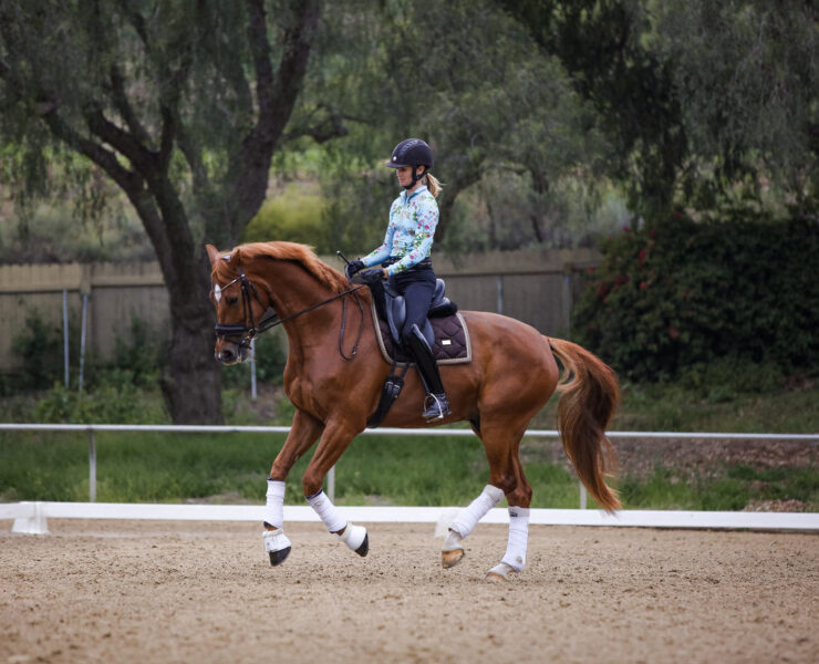 Equipment Equestrians Can Borrow From Other Sports - Heels Down Mag